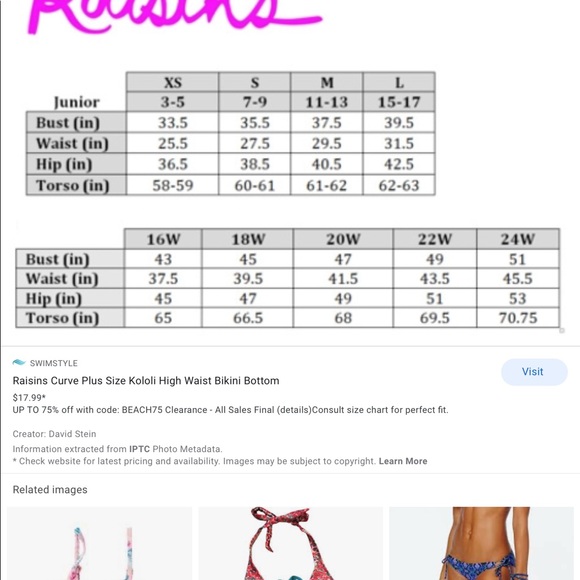 NWT Raisins sizes Small or X-Large bandeau lowride - Picture 7 of 9